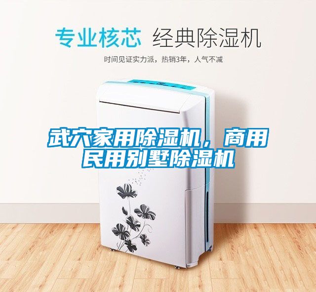武穴家用樱桃TV在线观看机，商用民用别墅樱桃TV在线观看机