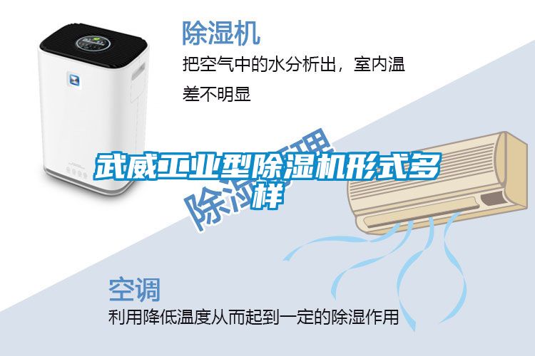 武威工业型樱桃TV在线观看机形式多样