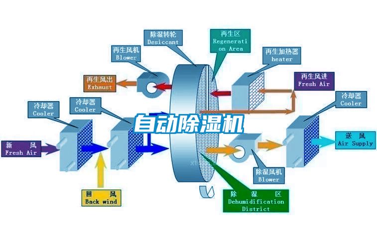 自动樱桃TV在线观看机