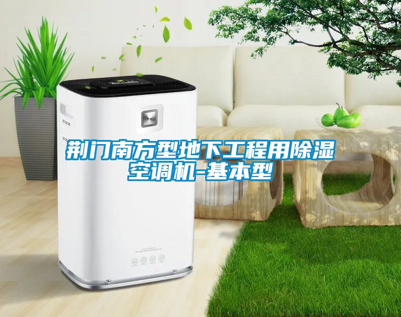荆门南方型地下工程用樱桃TV在线观看空调机-基本型
