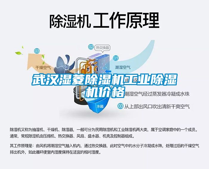武汉湿菱樱桃TV在线观看机工业樱桃TV在线观看机价格