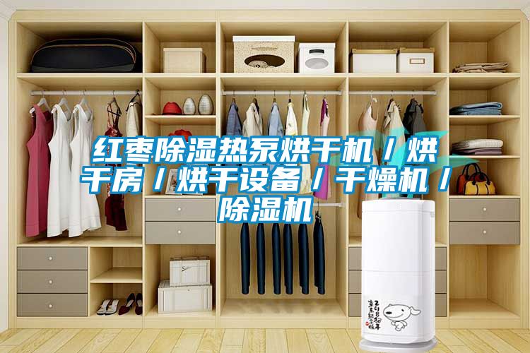 红枣樱桃TV在线观看热泵烘干机／烘干房／烘干设备／干燥机／樱桃TV在线观看机
