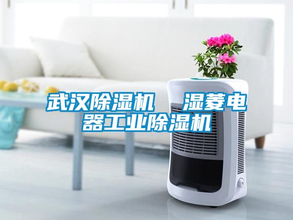 武汉樱桃TV在线观看机  湿菱电器工业樱桃TV在线观看机