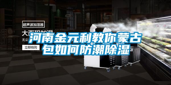 河南金元利教你蒙古包如何防潮樱桃TV在线观看