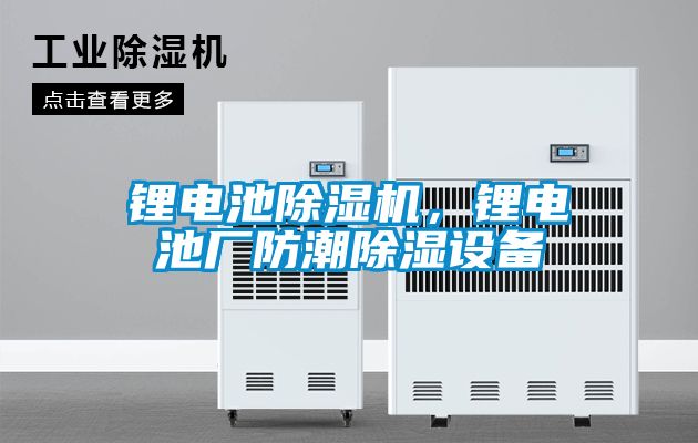 锂电池樱桃TV在线观看机，锂电池厂防潮樱桃TV在线观看设备