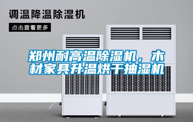 郑州耐高温樱桃TV在线观看机，木材家具升温烘干抽湿机