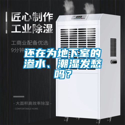 还在为地下室的渗水、潮湿发愁吗？