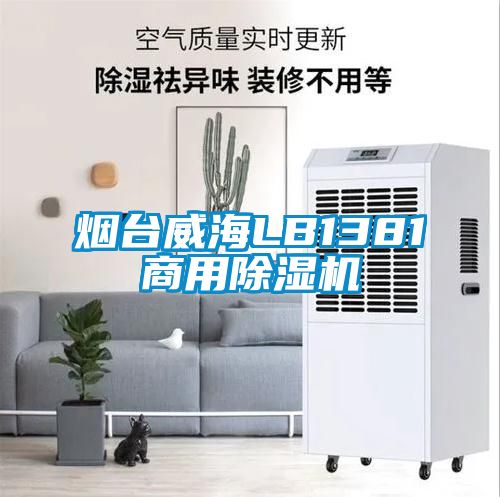 烟台威海LB1381商用樱桃TV在线观看机