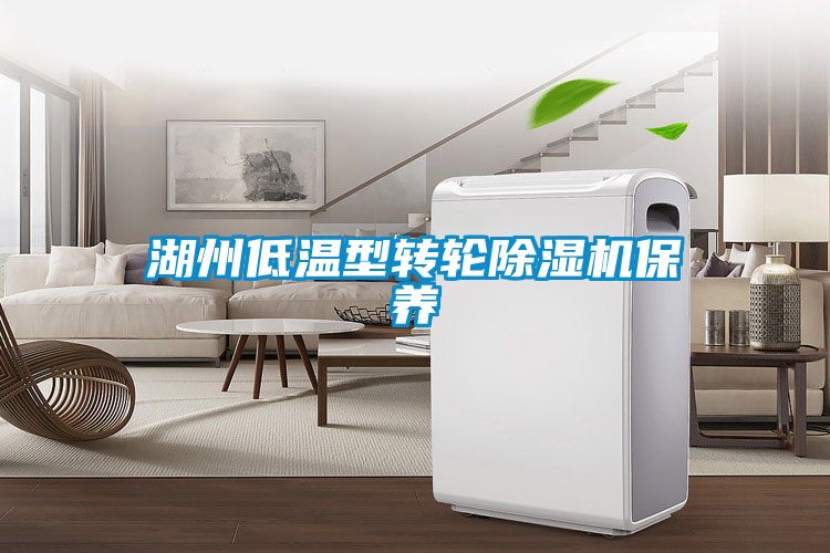 湖州低温型转轮樱桃TV在线观看机保养