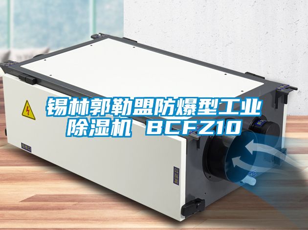 锡林郭勒盟防爆型工业樱桃TV在线观看机 BCFZ10
