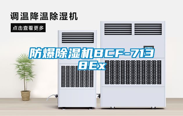 防爆樱桃TV在线观看机BCF-7138Ex