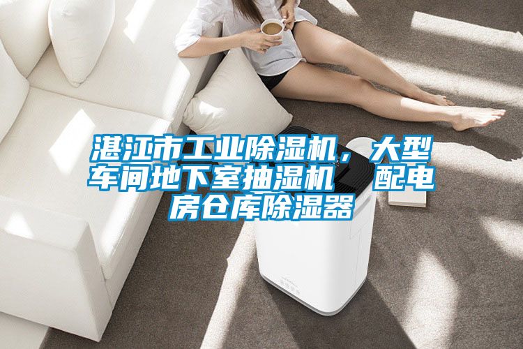 湛江市工业樱桃TV在线观看机，大型车间地下室抽湿机  配电房仓库樱桃TV在线观看器