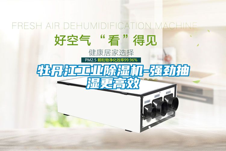 牡丹江工业樱桃TV在线观看机-强劲抽湿更高效