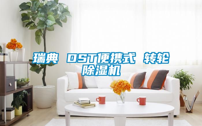 瑞典 DST便携式 转轮樱桃TV在线观看机