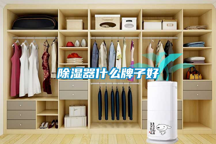 樱桃TV在线观看器什么牌子好