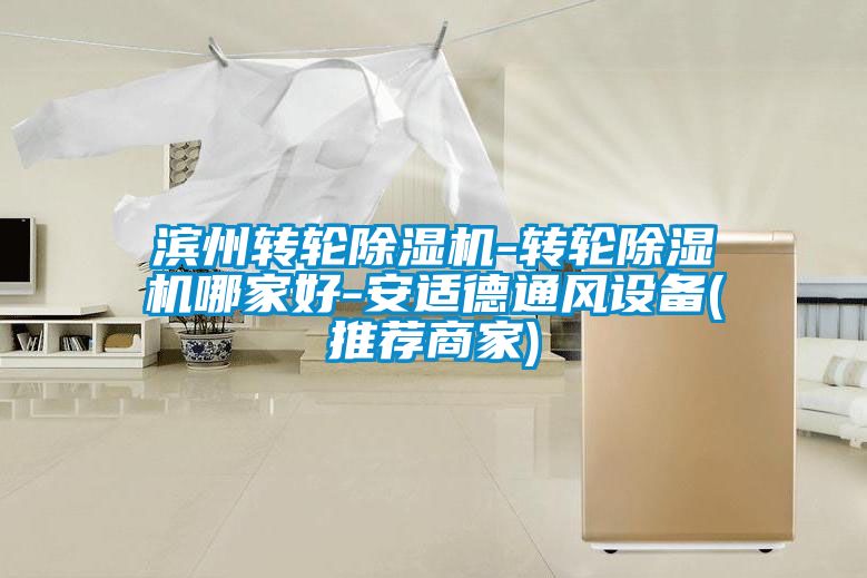 滨州转轮樱桃TV在线观看机-转轮樱桃TV在线观看机哪家好-安适德通风设备(推荐商家)
