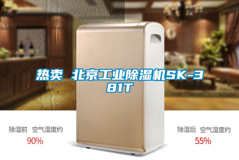 热卖 北京工业樱桃TV在线观看机SK-381T