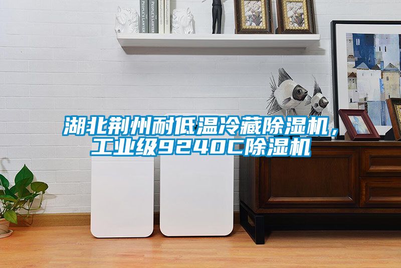 湖北荆州耐低温冷藏樱桃TV在线观看机，工业级9240C樱桃TV在线观看机