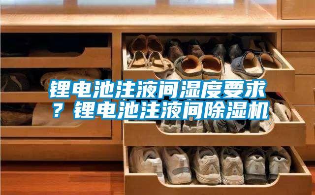 锂电池注液间湿度要求？锂电池注液间樱桃TV在线观看机