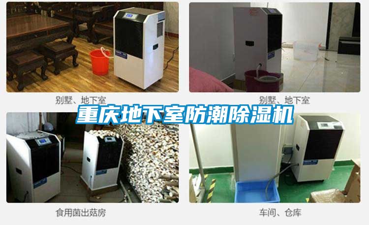 重庆地下室防潮樱桃TV在线观看机