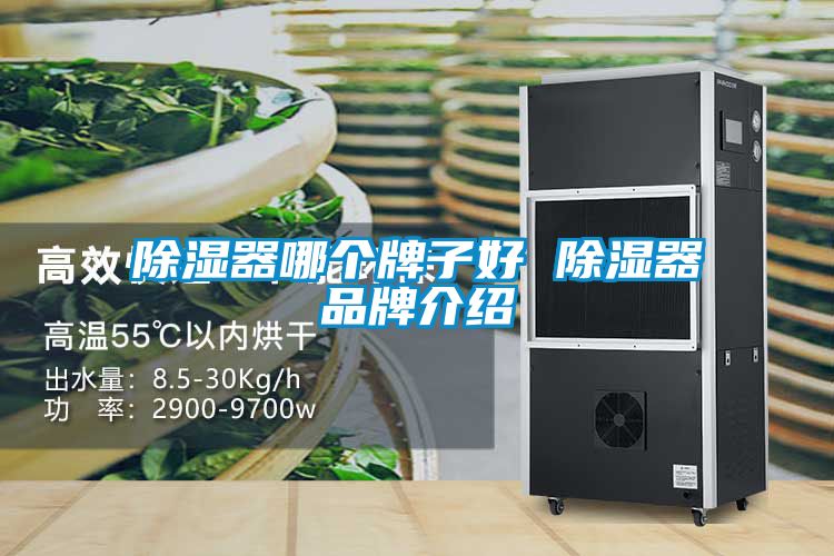 樱桃TV在线观看器哪个牌子好 樱桃TV在线观看器品牌介绍