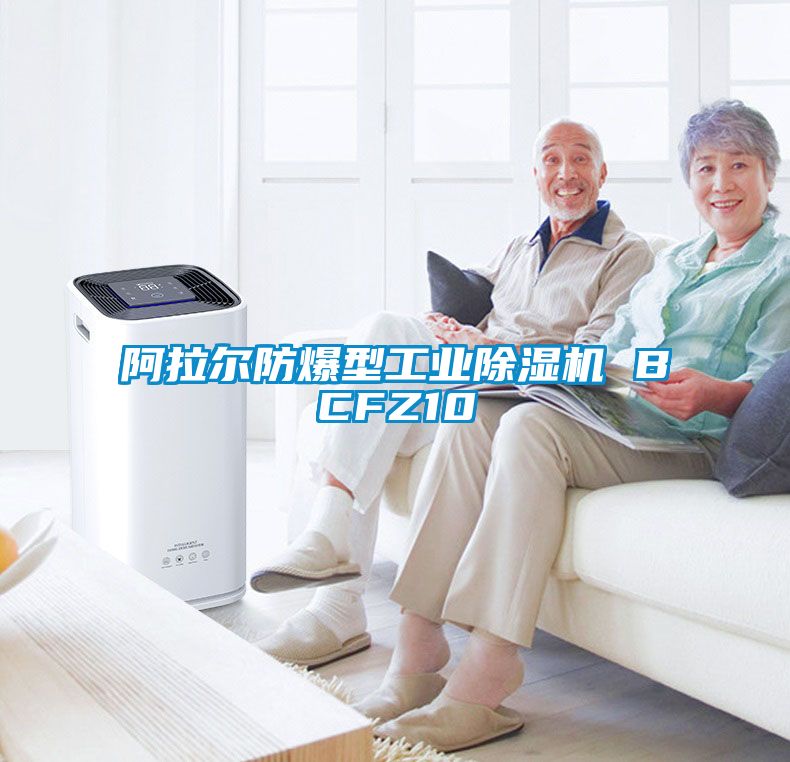 阿拉尔防爆型工业樱桃TV在线观看机 BCFZ10