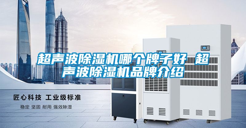 超声波樱桃TV在线观看机哪个牌子好 超声波樱桃TV在线观看机品牌介绍