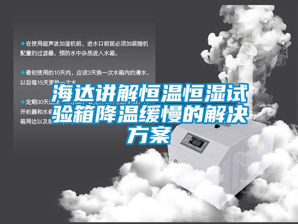 海达讲解恒温恒湿试验箱降温缓慢的解决樱桃视频成人
