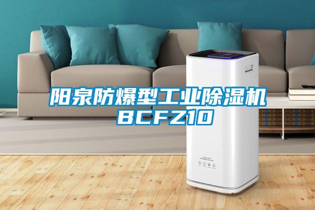 阳泉防爆型工业樱桃TV在线观看机 BCFZ10