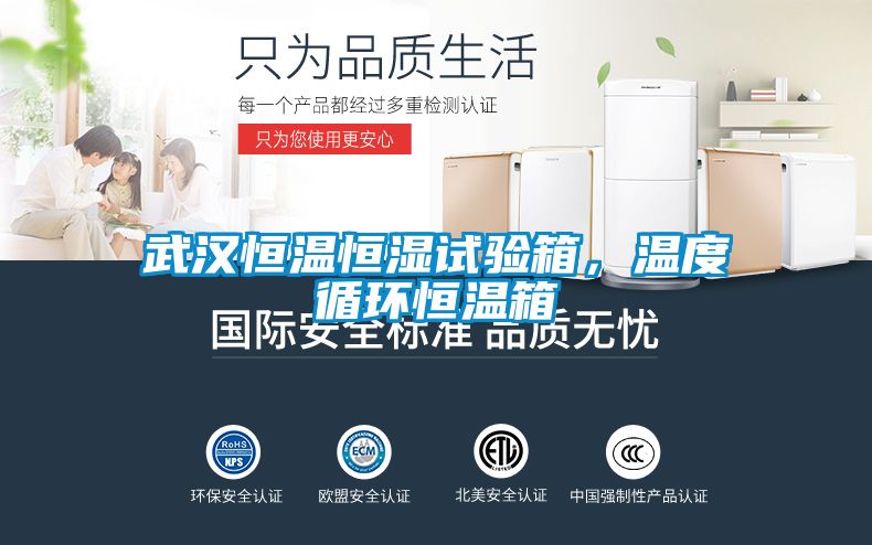 武汉恒温恒湿试验箱，温度循环恒温箱