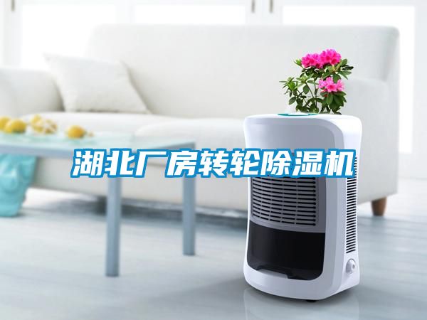 湖北厂房转轮樱桃TV在线观看机
