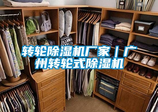 转轮樱桃TV在线观看机厂家｜广州转轮式樱桃TV在线观看机