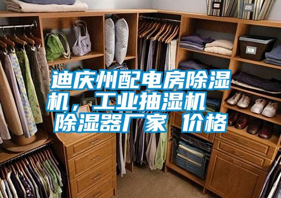 迪庆州配电房樱桃TV在线观看机，工业抽湿机  樱桃TV在线观看器厂家 价格