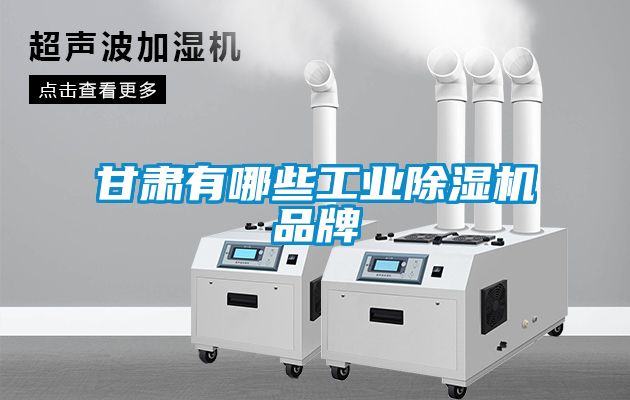 甘肃有哪些工业樱桃TV在线观看机品牌