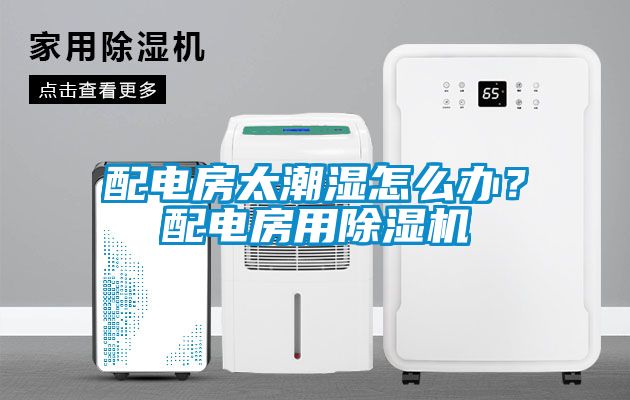 配电房太潮湿怎么办？配电房用樱桃TV在线观看机