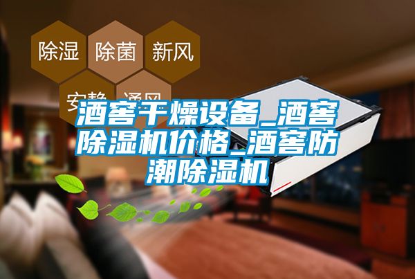 酒窖干燥设备_酒窖樱桃TV在线观看机价格_酒窖防潮樱桃TV在线观看机
