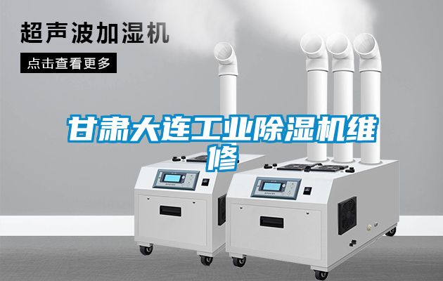 甘肃大连工业樱桃TV在线观看机维修