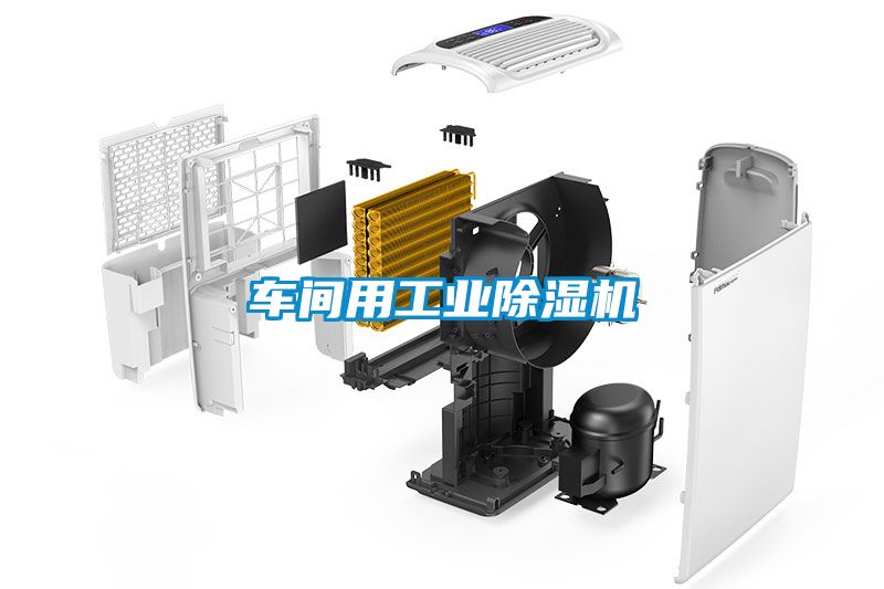 车间用工业樱桃TV在线观看机