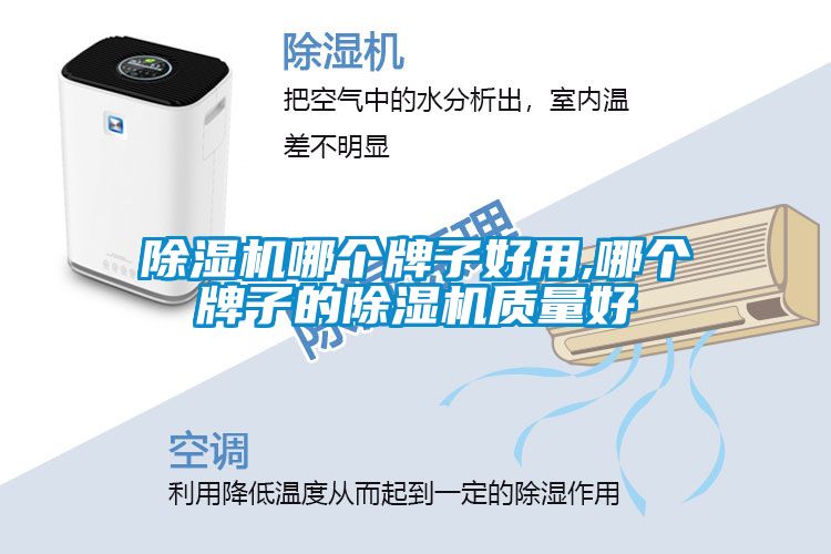 樱桃TV在线观看机哪个牌子好用,哪个牌子的樱桃TV在线观看机质量好