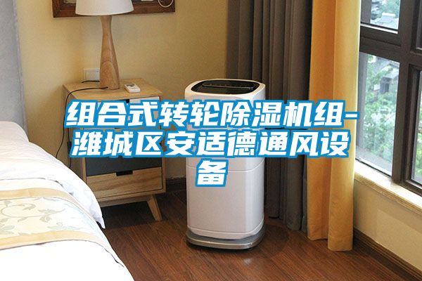 组合式转轮樱桃TV在线观看机组-潍城区安适德通风设备