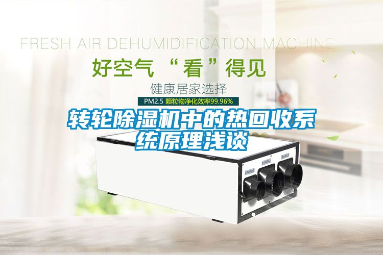转轮樱桃TV在线观看机中的热回收系统原理浅谈