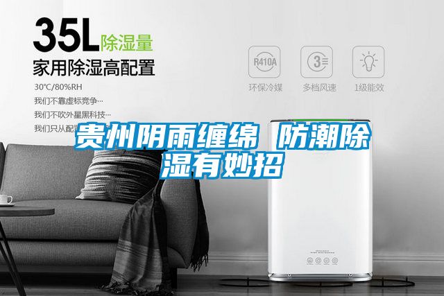 贵州阴雨缠绵 防潮樱桃TV在线观看有妙招