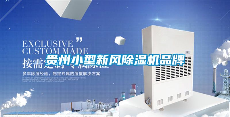 贵州小型新风樱桃TV在线观看机品牌