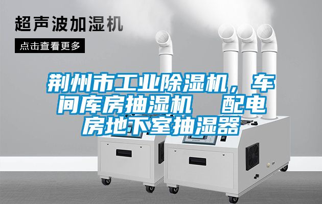 荆州市工业樱桃TV在线观看机，车间库房抽湿机  配电房地下室抽湿器