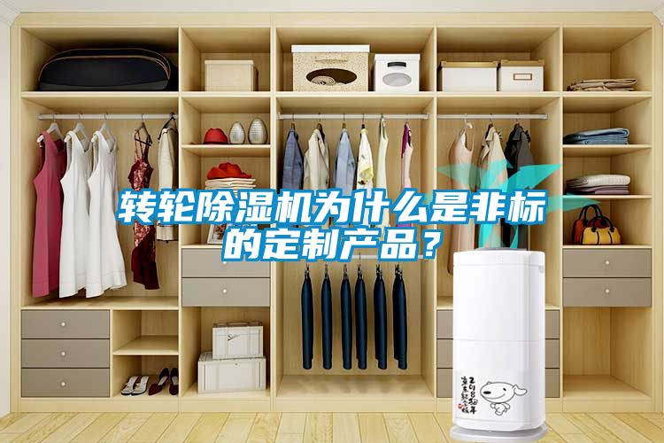 转轮樱桃TV在线观看机为什么是非标的定制产品？