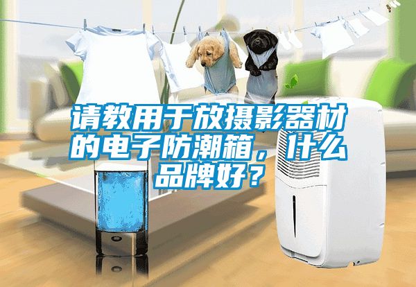 请教用于放摄影器材的电子防潮箱，什么品牌好？