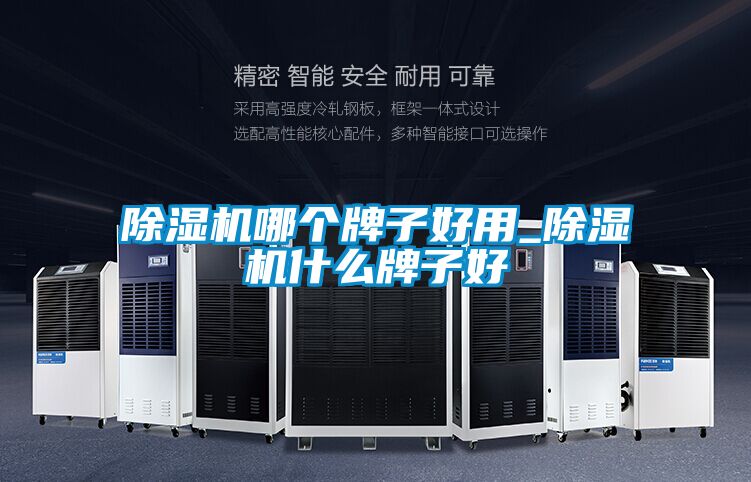 樱桃TV在线观看机哪个牌子好用_樱桃TV在线观看机什么牌子好