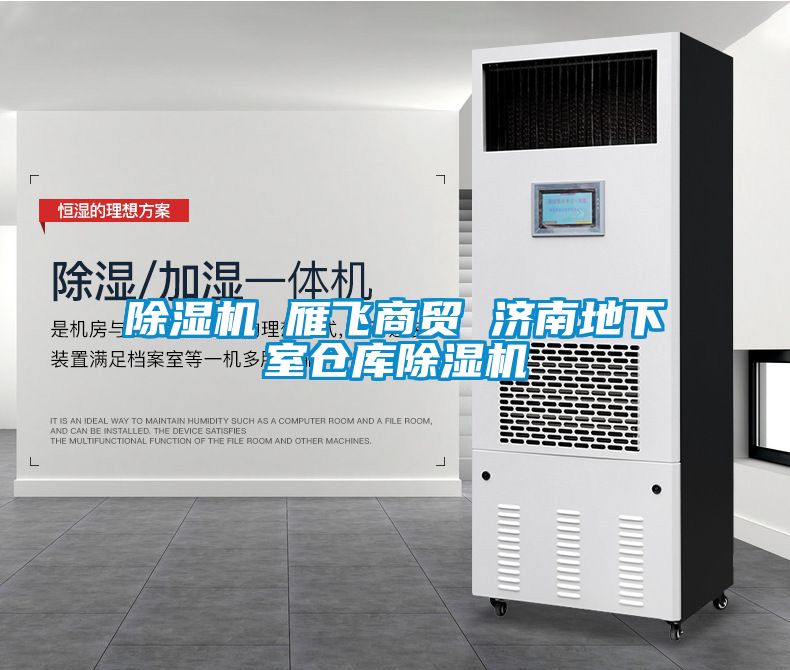 樱桃TV在线观看机 雁飞商贸 济南地下室仓库樱桃TV在线观看机