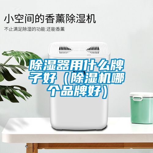 樱桃TV在线观看器用什么牌子好（樱桃TV在线观看机哪个品牌好）