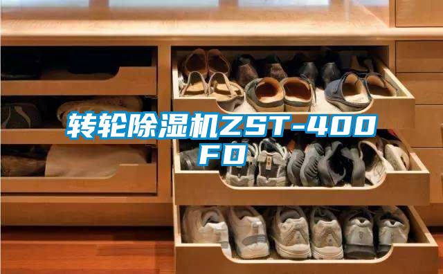 转轮樱桃TV在线观看机ZST-400FD